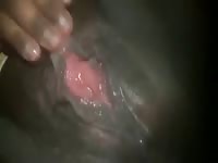 My fat wet juicy pussy