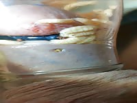 Pain cbt insertion bdsm pervers futter für maggots