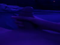 Smooth twink touches himself for you x