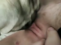 Dog licking my nasty hairy pussy
