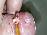 Pain cbt insertion bdsm pervers maggots