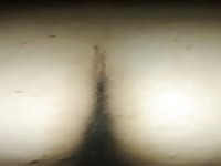 Vicman777 tarros Cecil arma la Culeadera en el departamento 