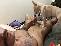 Sexy guy cums from lickjob