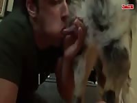 cute gay sucking dog