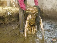 Kaitlyn Katsaros Rough Fuck In Cowshit