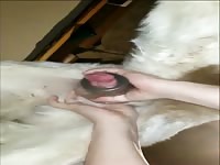 Fleshlight for giant K9 cock