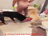 Chinese zoo porn 3