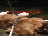 Chinese student with dog outside