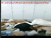 Chinese dog whore have a big party 2