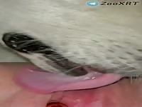 Horny Girl Getting Licked