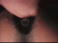 man fucks a male horse in the ass