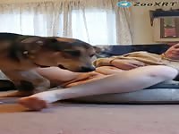 Dog Fucks Chubby Girl