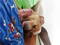 Pongo a mamar a mi perrita 