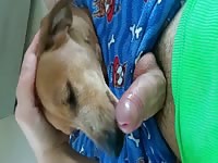Mi perrita me da oral parte 2