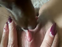 Puppy licks clit 