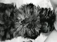 MILF First Time Muff Eating