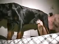 Tattoed Otter Rims a Dog's Asshole.