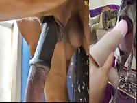 ZMV/PMV UNHOLY (GOOSES FIRST ZMV/PMV)