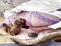 chinese wife sitting on dog's dick