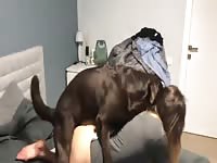Missed my dogs cock 