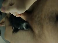 1-6 yo with dads pup